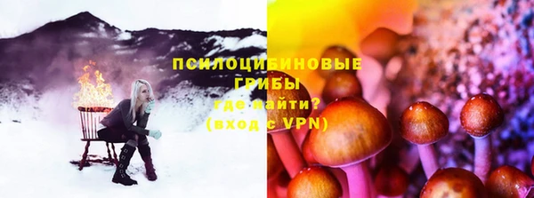 ГАЛЛЮЦИНОГЕННЫЕ ГРИБЫ Балахна