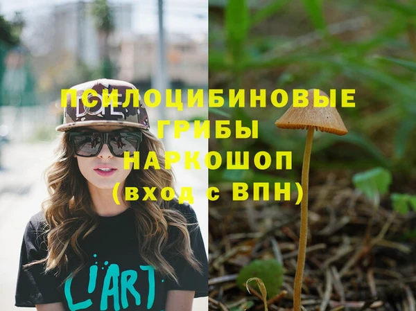 ГАЛЛЮЦИНОГЕННЫЕ ГРИБЫ Балахна